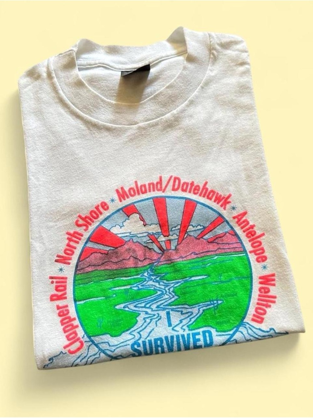 Vintage 1990s Yuma Arizona White Graphic Tee with Colorful Nature Print M